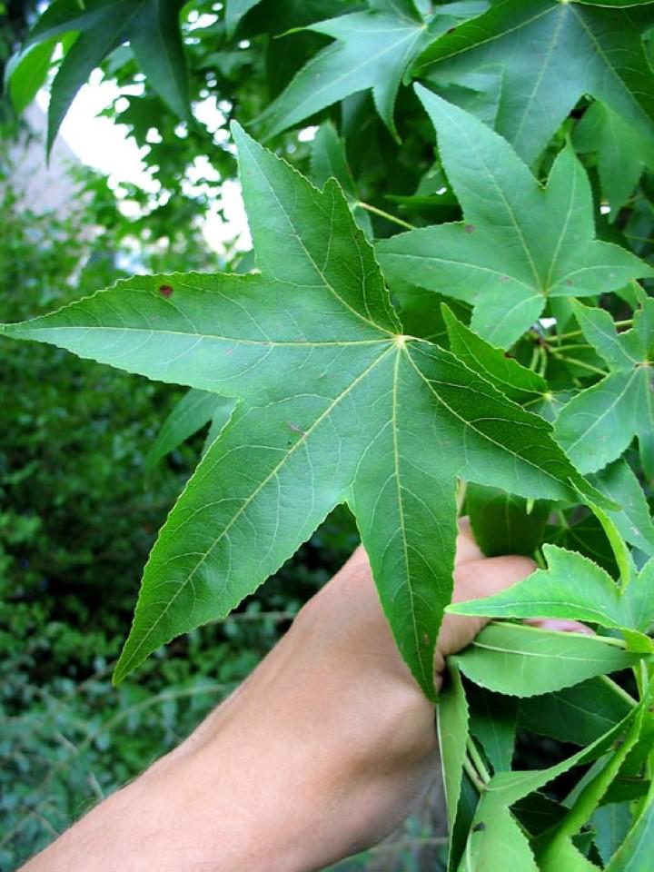 20160414133349606 13 1