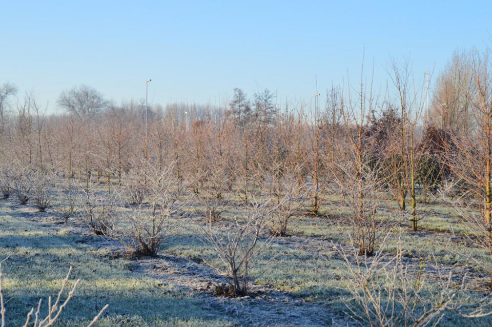 20160414135618622 20 2